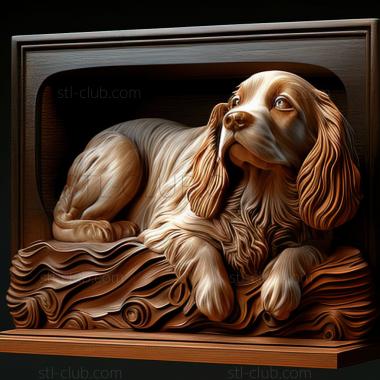 3D model st Norfolk Spaniel dog (STL)